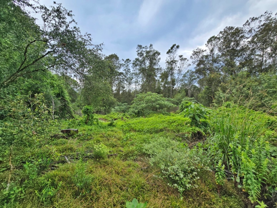 Commercial Property for Sale in Wilderness Heights Western Cape